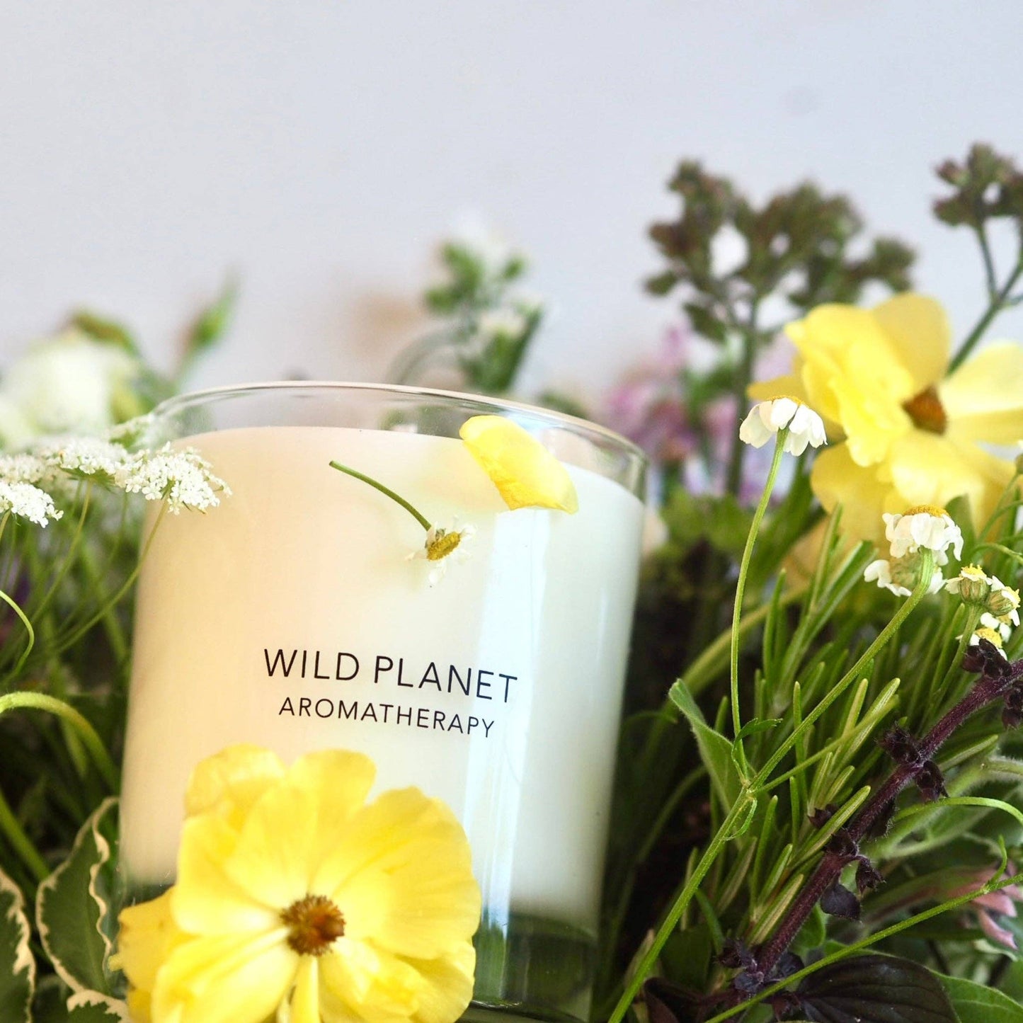 Wild Planet Aromatherapy - Lemon Verbena Candle