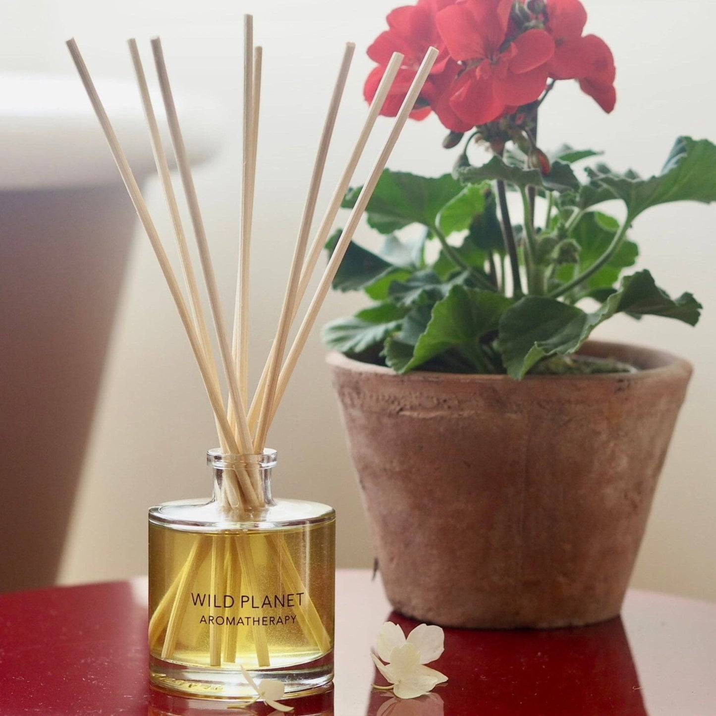 Wild Planet Aromatherapy - Hedonist Reed Diffuser