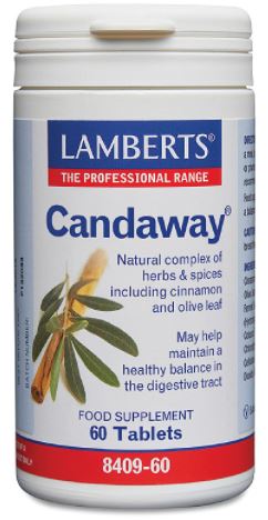 Lamberts Candaway 60
