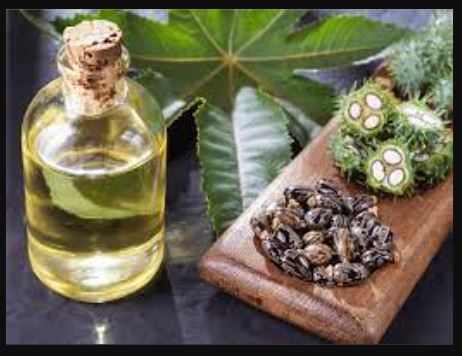 Castor Oil 100ml - Organic