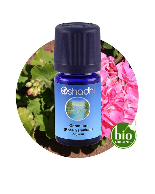 Rose Geranium Essential oil: balancing properties and beautifully floral, slightly herbaceous scent. Perfect for aromatherapy.