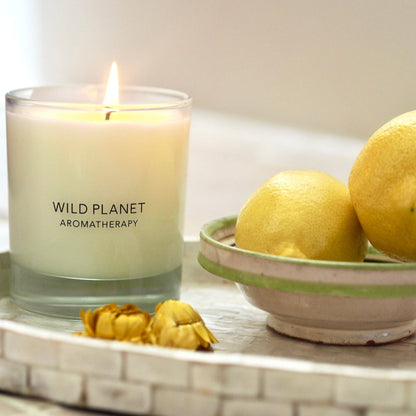 Wild Planet Aromatherapy - Lemon Verbena Candle