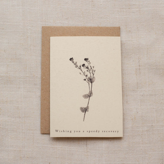 Alicia Breakspear Speedwell Flower Greeting Card A7 with a botanical get well soon design.