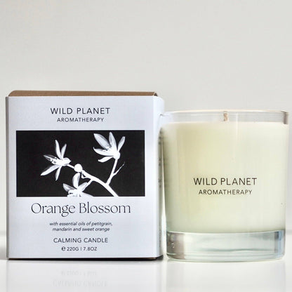 Orange Blossom Candle