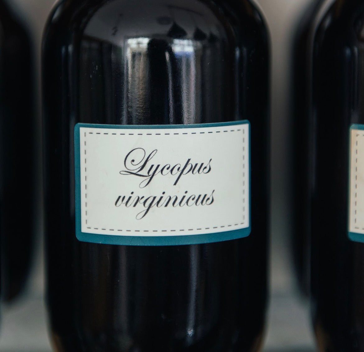 Apotheca Pure Herbal Tinctures