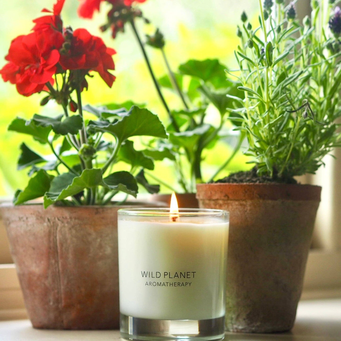 Wild Planet Aromatherapy - Midsummer Candle