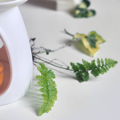 Forest Bathing Luxury Wax Melts