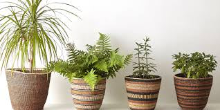 The Basket Room