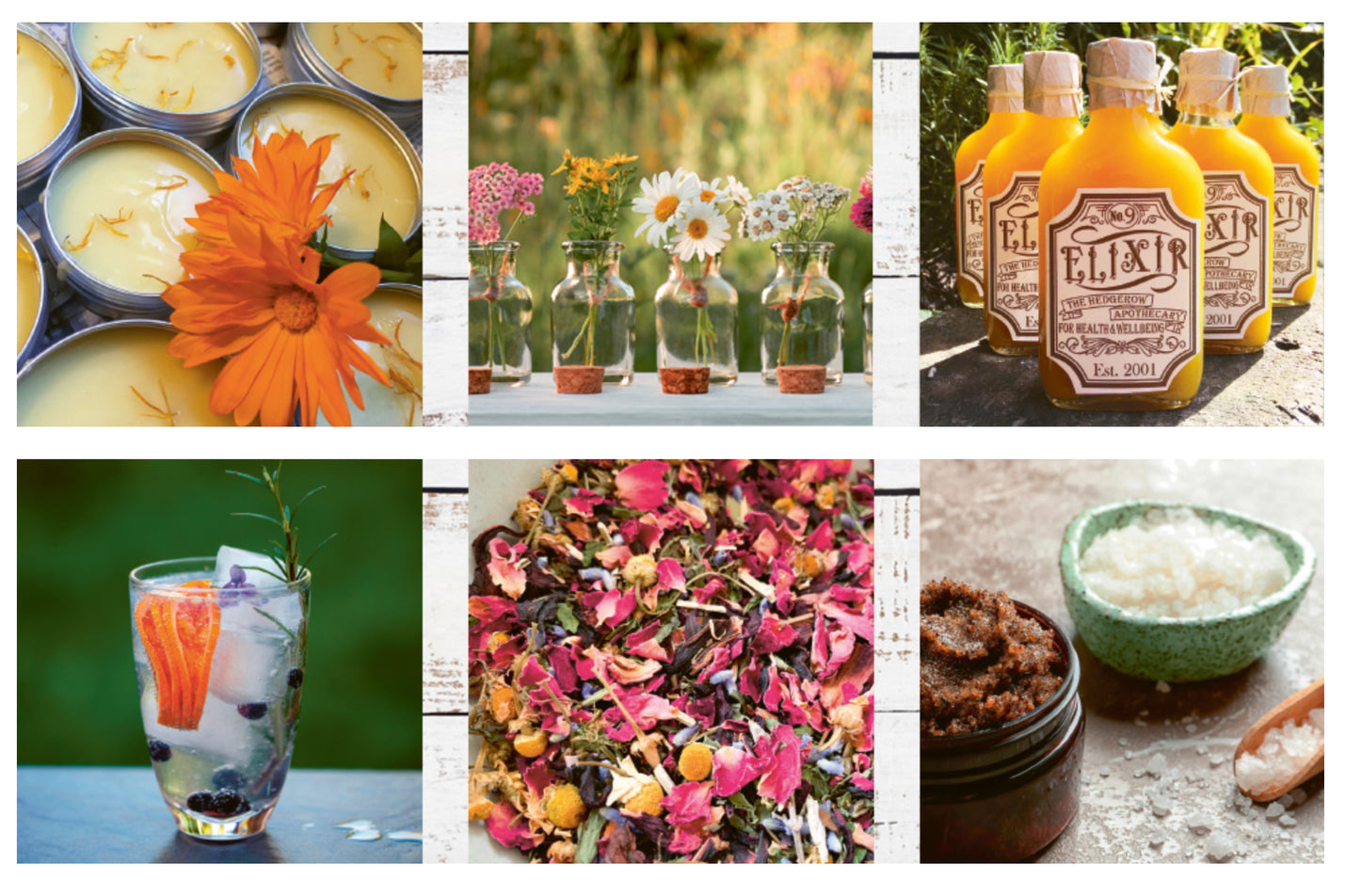 The Garden Apothecary Book