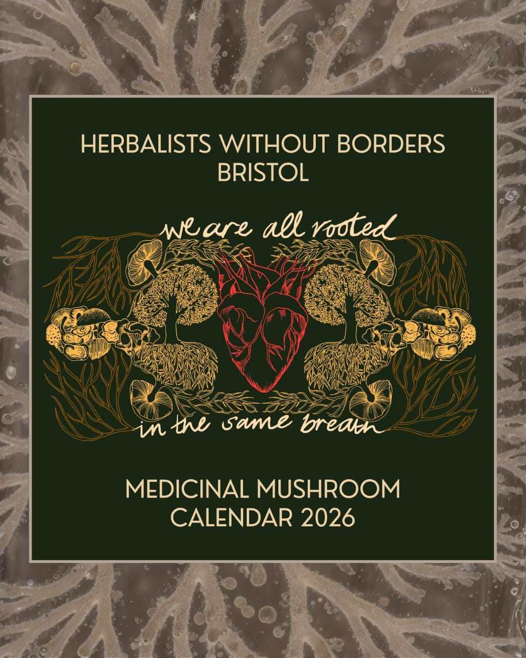 Herbalists Without Borders Calendar 2026