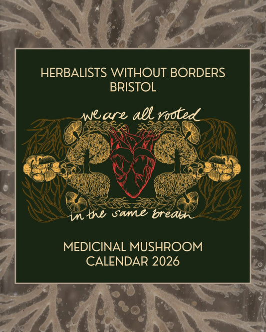 Herbalists Without Borders Calendar 2026 featuring medicinal mushrooms and artwork.