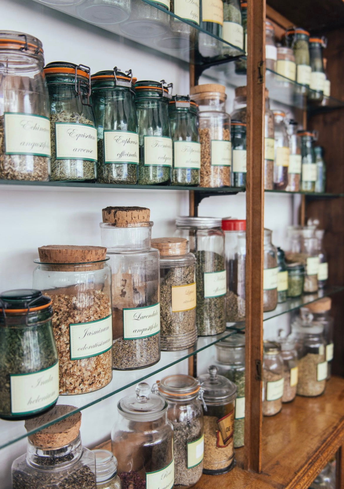 Apotheca Herbal Dried Herb / Herbal Tea