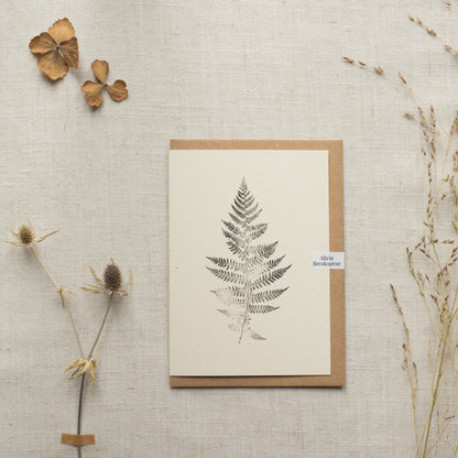 Alicia Breakspear - Lady Fern Print Greeting Card A6 Recycled Card 