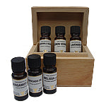 Invigorating Aromatherapy Kit for uplifting senses with premium essential oils and elegant diffuser.
