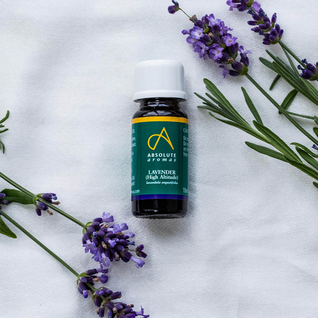 Absolute Aromas Lavender High Altitude essential oil in a 10mL bottle.