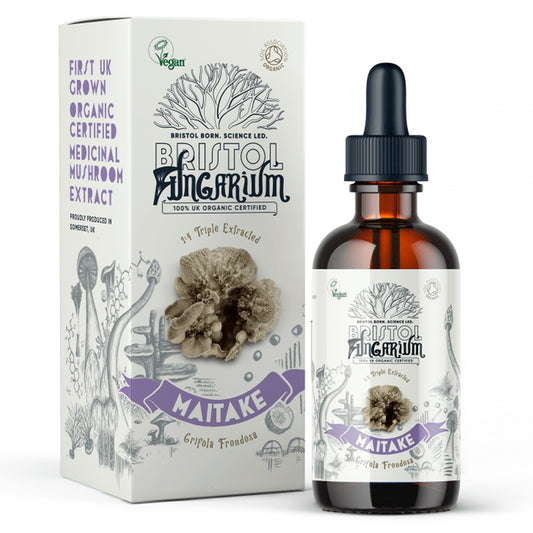 Maitake tincture from Bristol Fungarium, a UK-sourced supplement for natural wellness.