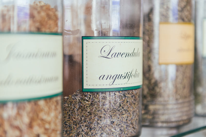 Dried Herb / Herbal Tea