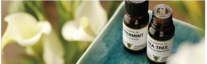 Amphora Aromatics Essential Oil 10ml