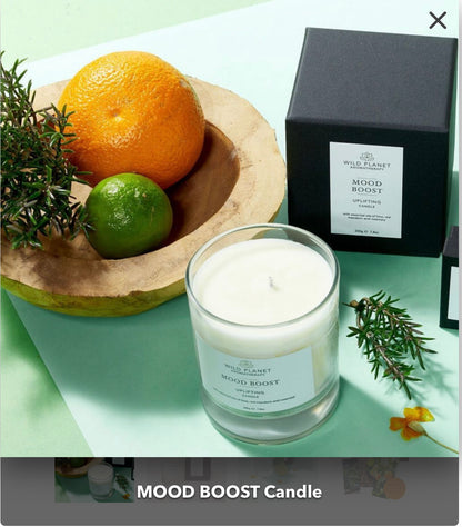 Large Candle Wild Planet Aromatherapy