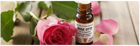 Amphora Aromatics Essential Oil 10ml